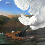 The Threatened Swan - Jan Asselijn - part 4